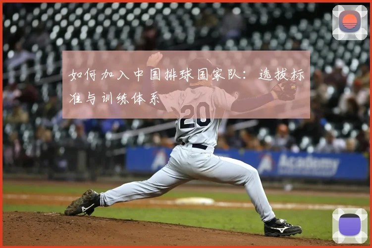 如何加入中国排球国家队:选拔标准与训练体系